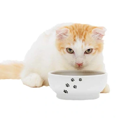 Afbeelding van Necoichi voerbak katten en poezen anti mors voerbakje kattenvoerbak
