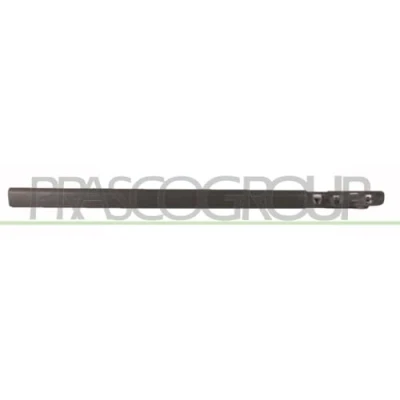Afbeelding van PRASCO RN3251403 Zierleiste RENAULT: CLIO 3