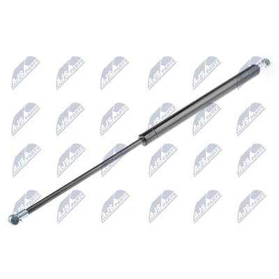 Afbeelding van NTY AE DW 000 Gasveer achterklep 560 463