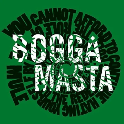Afbeelding van Flat Earth Society Boggamasta (LP)