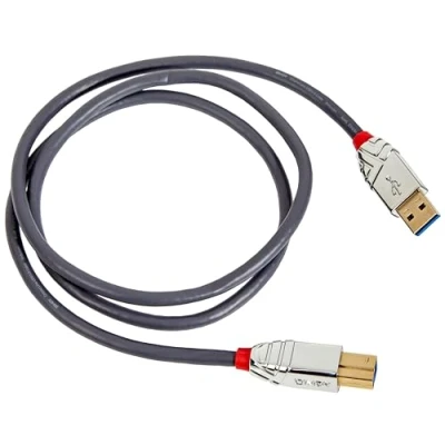 Image de Lindy CROMO Câble USB Type A (M) pour B 3.1 1 m rond gris