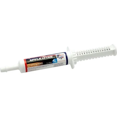 Afbeelding van Equine America Apple Lytes pasta 30ml
