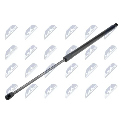 Afbeelding van NTY AE CH 043 Gasveer achterklep Achter