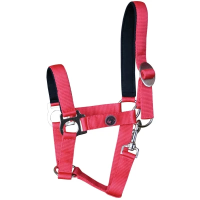 Image de Harry&#039;s Horse Licol Padded Rouge XFull