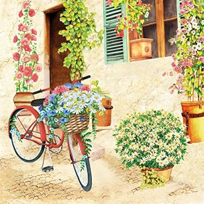 Afbeelding van 20 servetten Cottage fiets / bloemen lente zomer 33 x cm