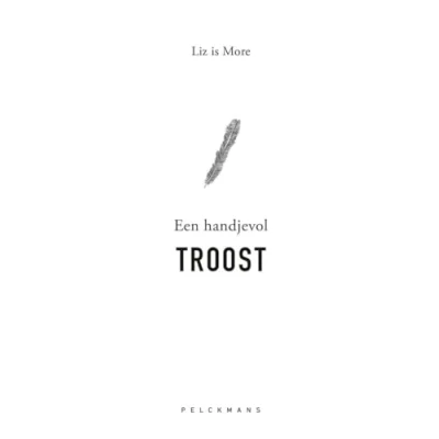 Afbeelding van Een handjevol troost