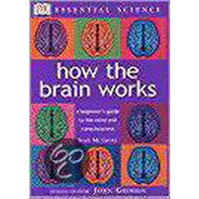 Afbeelding van How the Brain Works