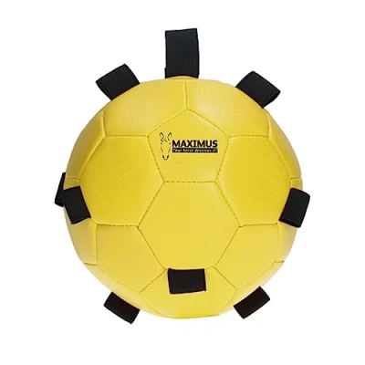 Image de Maximus Balle Fun Play Jaune