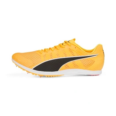 Image de Pointes d&#039;athlÃ©tisme evoSPEED Distance 11