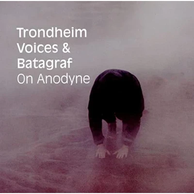 Afbeelding van Trondheim Voices &amp; John Balke Batagraf On Anodyne (CD)