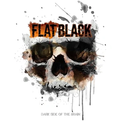 Afbeelding van Flat Black Dark Side of the Brain (2 LPs)