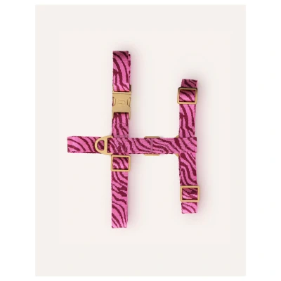 Afbeelding van Dogguo Zebra Harness Hondentuig Bordeaux Pink Xs