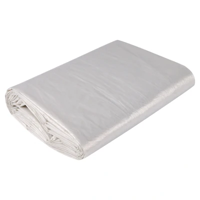 Afbeelding van Copenhagen Pro afdekzeil LDPE 40 MU 4 x m transparant
