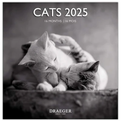 Afbeelding van Grote wandkalender, 29 x cm, 2025, september 2024 tot december zwart witte katten