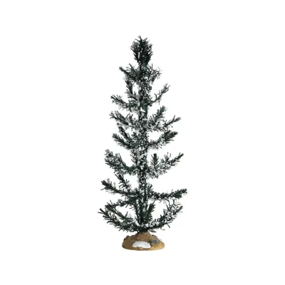 Afbeelding van White pine large LEMAX