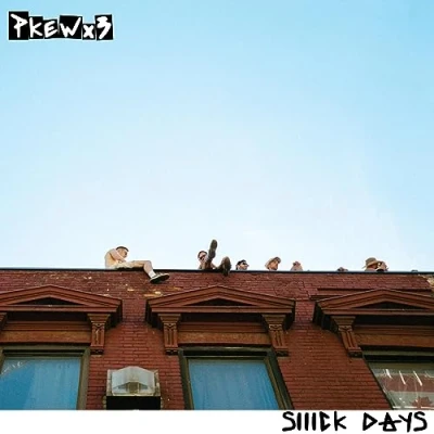Afbeelding van Pkew Siiick Days (LP)