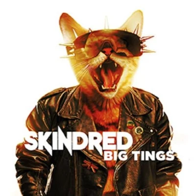 Afbeelding van Skindred Big Tings (CD)