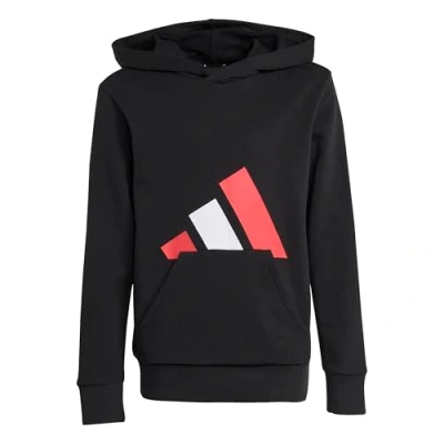 Afbeelding van adidas Mixte enfant ESSENTIALS BIG LOGO HOODIE, black/pure ruby/white, 11 12 Years