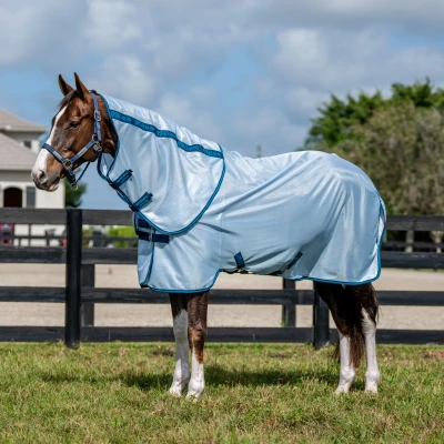 Image de Amigo Bug Rug Plus