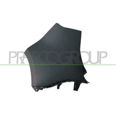 Afbeelding van PRASCO RN0361154 Achterbumper Links achter