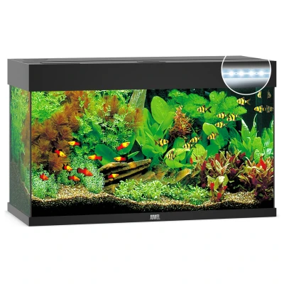 Afbeelding van Juwel Aquarium Rio 125 Led 80x35x50 cm Aquaria Zwart Ca. L
