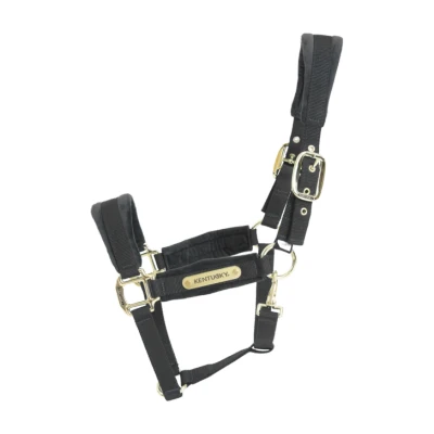 Image de Kentucky Licol velours Noir Full
