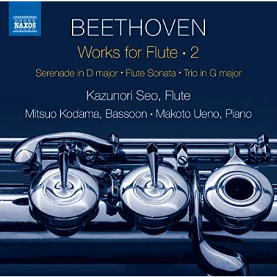 Afbeelding van Kazunori Seo, Mitsuo Kodama, Makoto Ueno Works For Flute, Vol. 2 (CD)
