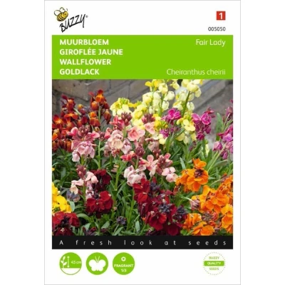 Afbeelding van Cheiranthus cheirii Fair Lady Gemengd Buzzy