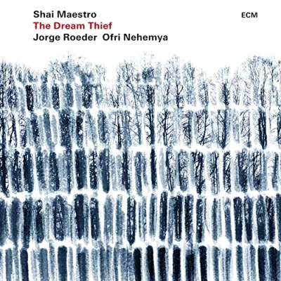 Afbeelding van Shai Maestro Dream Thief (LP)