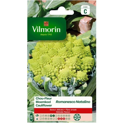 Afbeelding van Vilmorin Bloemkool Romanesco Natalio V839