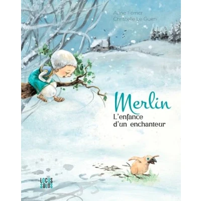 Afbeelding van Merlin l&#039;enfance d&#039;un enchanteur