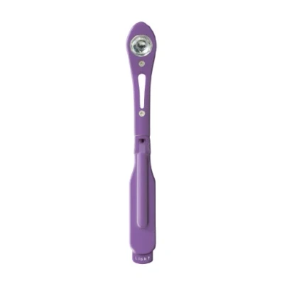 Afbeelding van The Really Tiny Book Light Purple [With Battery]
