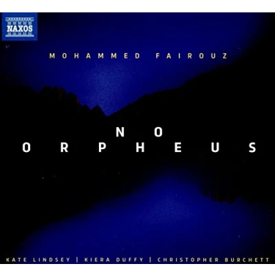 Afbeelding van Various Artists No Orpheus (CD)