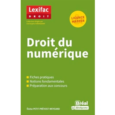 Afbeelding van Droit du numerique le guide