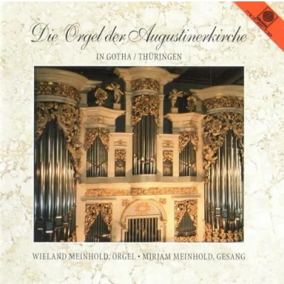 Afbeelding van Die Orgel Der Augustineki