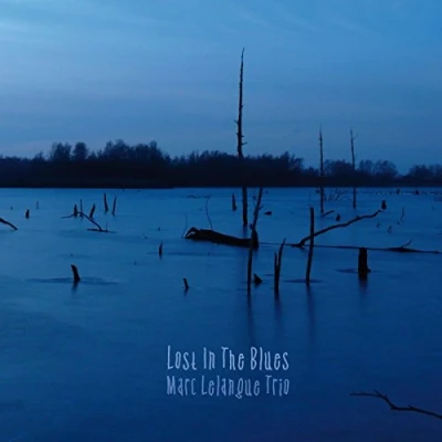 Afbeelding van Marc Lelangue Lost In The Blues (CD)