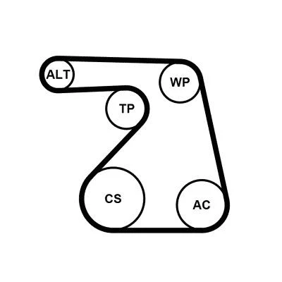 Afbeelding van CONTITECH 6PK1217WP1 Waterpomp + tandriemenset OPEL: Corsa D Hatchback
