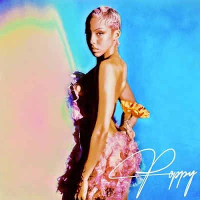 Afbeelding van Poppy Ajudha (LP)