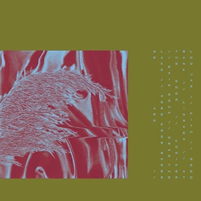 Afbeelding van Pariah Here From Where We Are (LP)