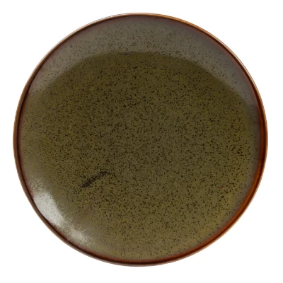 Afbeelding van Jay Hill Dinerborden Baltra ø 25 cm 4 stuks