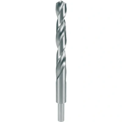 Afbeelding van RUKO 2004195 HSS G Spiraalboor 205 mm Gezamenlijke lengte 19.5 DIN 338 1 stuk(s)