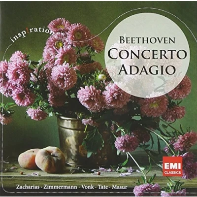 Afbeelding van Concerto Adagio Beethoven