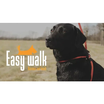 Afbeelding van Easy Walk Handmodel Rood