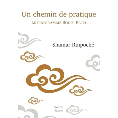 Afbeelding van Un chemin de pratique
