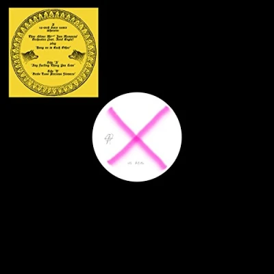 Afbeelding van Silver Mt. Zion Memorial Orchestra Hang On To Each Other (Single)