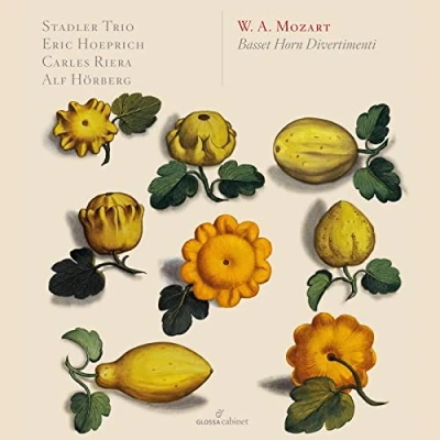 Afbeelding van Stadler Trio Basset Horn Divertimenti (CD)