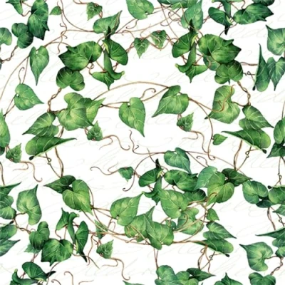 Afbeelding van 20 servetten klimop bladeren natuur plant tafeldecoratie decoupage servettechniek 33x33cm