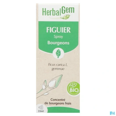 Image de Herbalgem Figuier Bio Spray 15ml