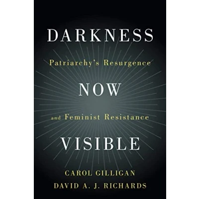Afbeelding van Darkness Now Visible
