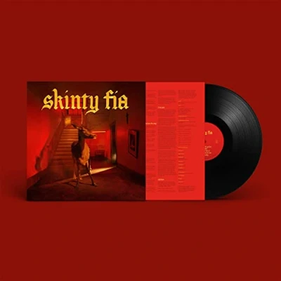 Afbeelding van Fontaines D.C. Skinty Fia (LP)